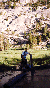 Andy in meadow