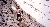 Switchbacks